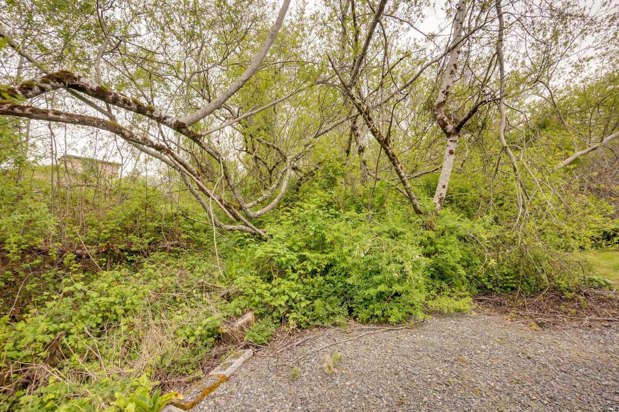 Soothing Studio With Lush Views 2 Mi To Beach! Smith River Exterior photo